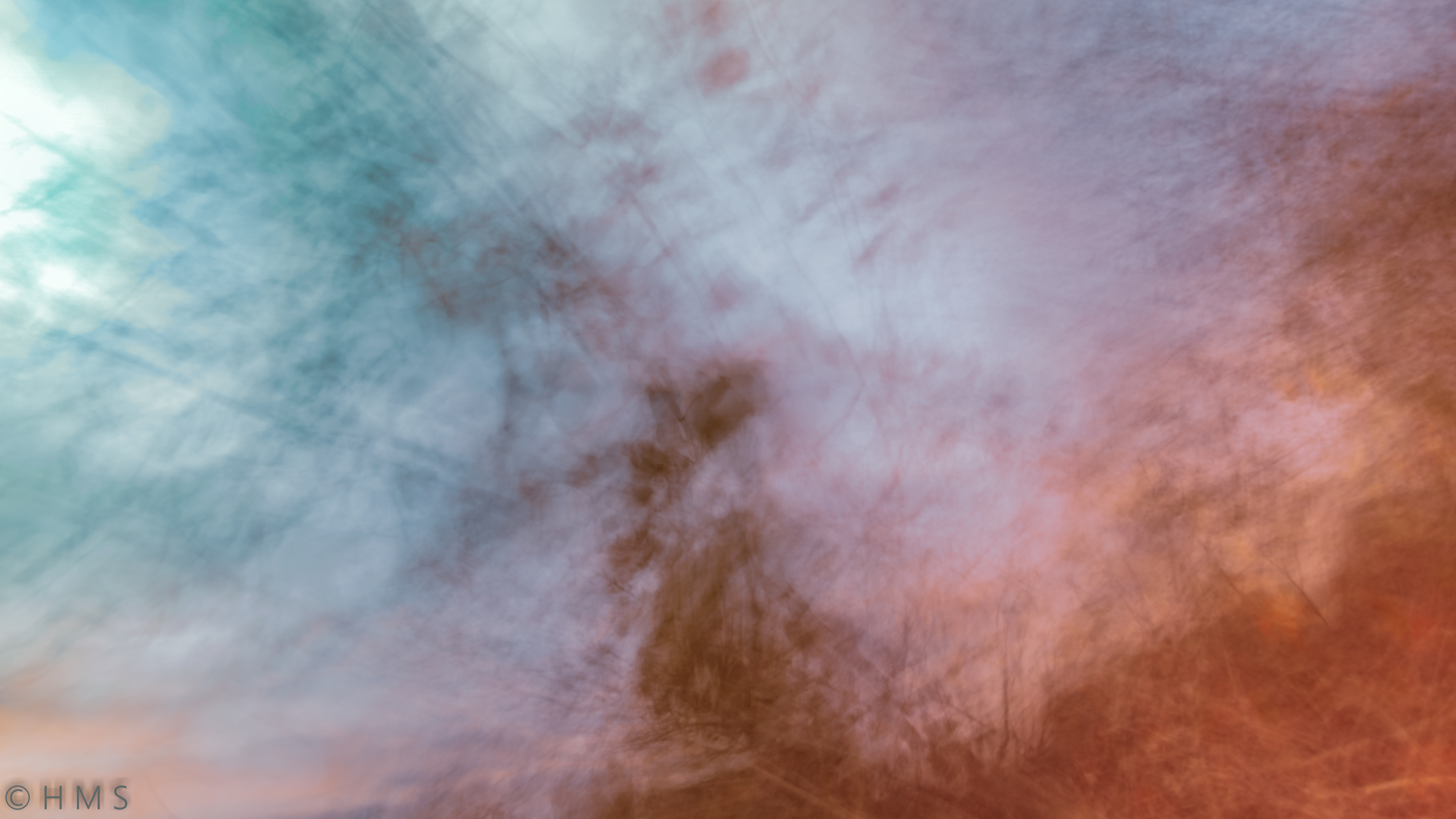 Branches and Leaves, abstract fine art photography with intentional camera movement (ICM); flowing textures of tree branches and foliage in motion