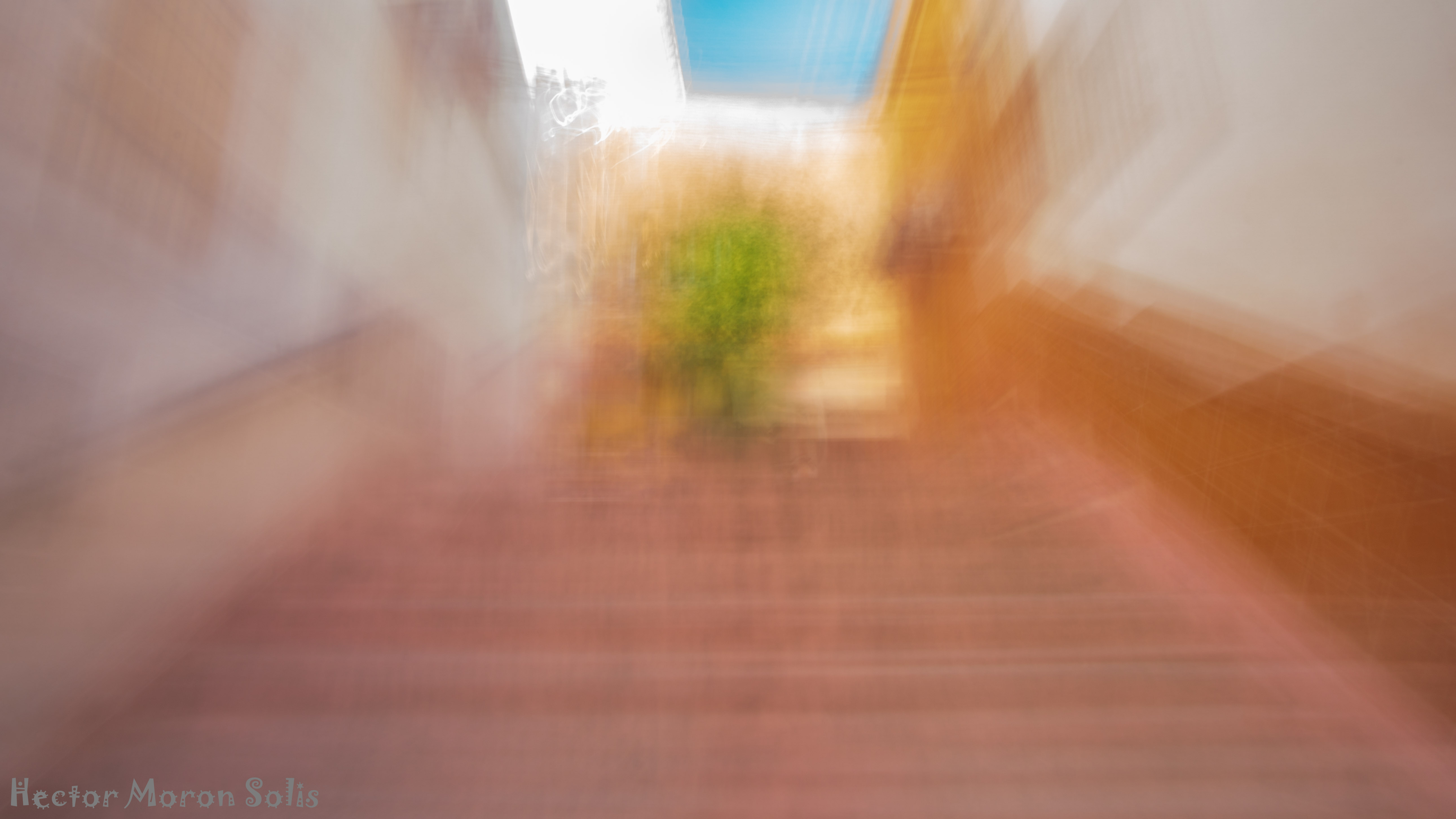 ICM fine art photograph by Héctor Morón – Eden Tree I from the Eden Tree Series, a radiant tree of light emerging from shadow, symbol of balance, rebirth, and transcendence within Allegorical Abstractionism