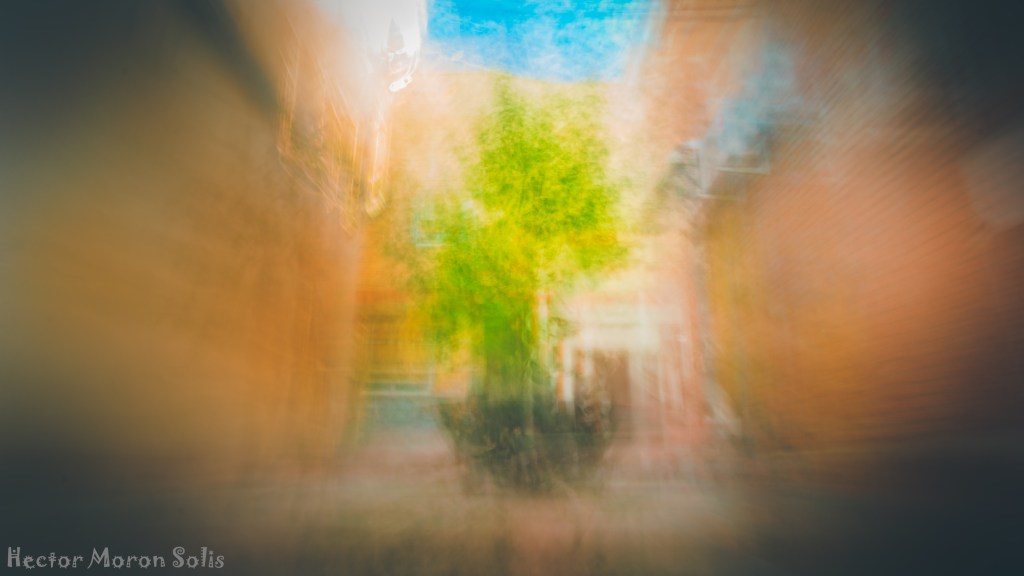 Eden Tree IV – victorious tree glowing softly, symbol of renewal and transformed balance