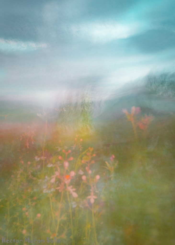Fairy Meadow – abstract ICM sunset photograph by Héctor Morón, soft violet and gold hues evoking twilight serenity