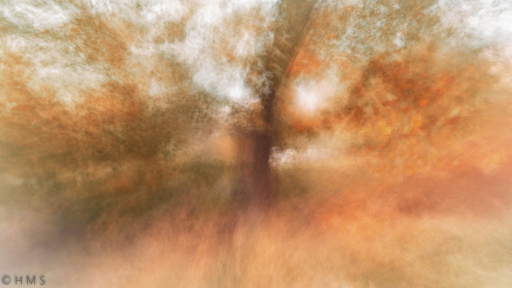 Falling Dream Tree, abstract ICM fine art photography of a dreamlike tree dissolving into motion blur, surreal colors and light. Falling Dream Tree, abstract ICM fine art photography of a dreamlike tree dissolving into motion blur, surreal colors and light by Héctor Morón. “Falling Dreamtree – symbolic tree photograph by Héctor Morón, echoing the Eden Tree allegory through motion and light where the this tree is falling.