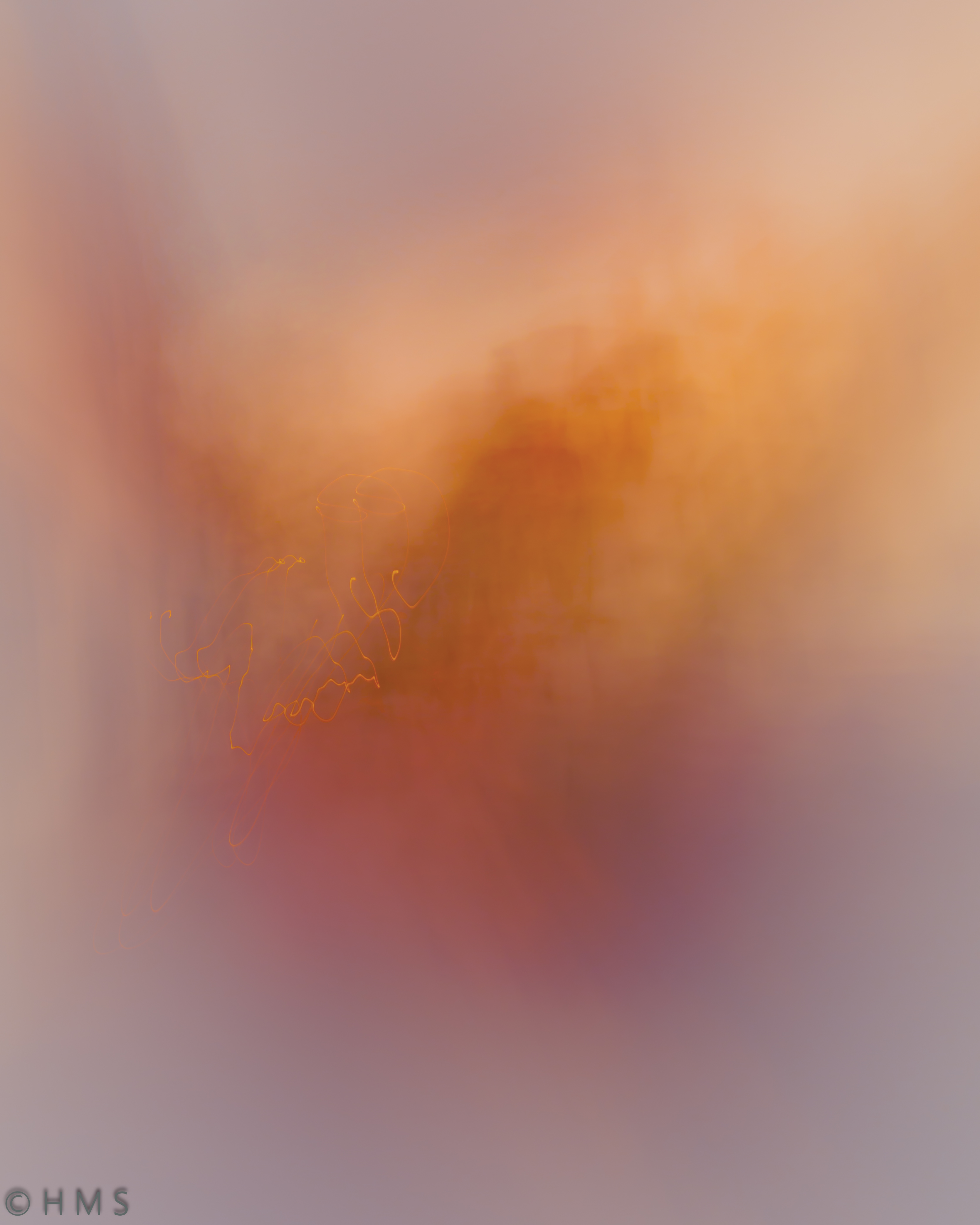 Abstract fine art photograph of flames and fire tones, transformed into painterly textures through intentional camera movement, by Héctor Morón