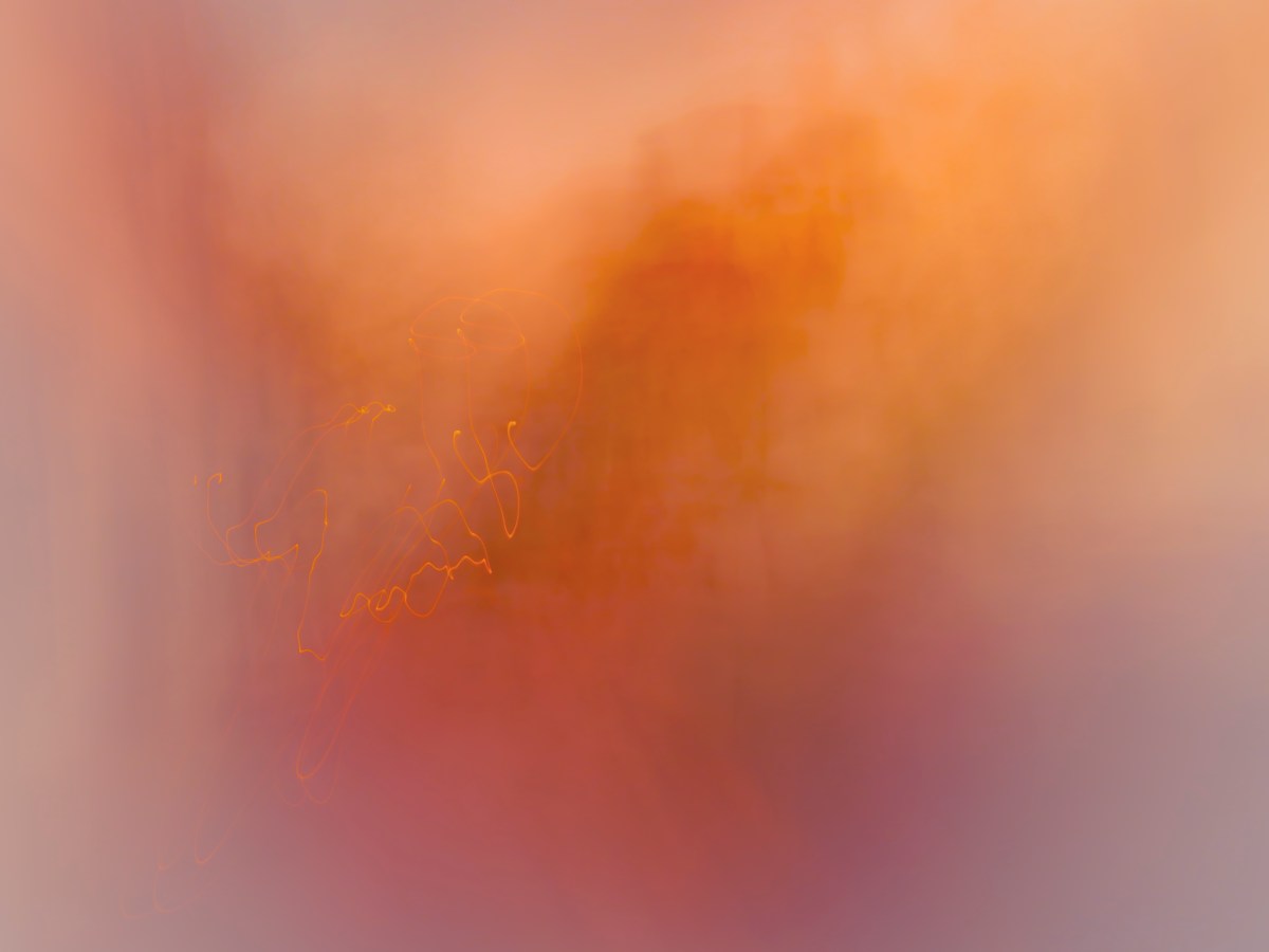 Flame Abstraction — ND Awards 2025 Honorable&nbsp;Mention