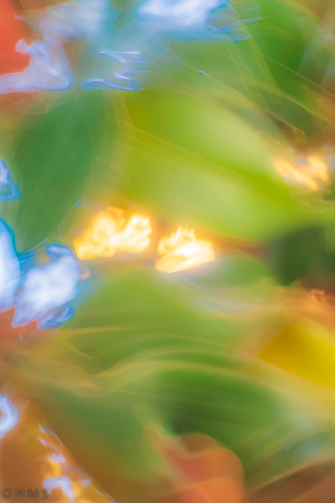 Abstract ICM fine art photograph of blurred green leaves with golden sunlight and soft blue accents, expressive motion painting by Héctor Morón