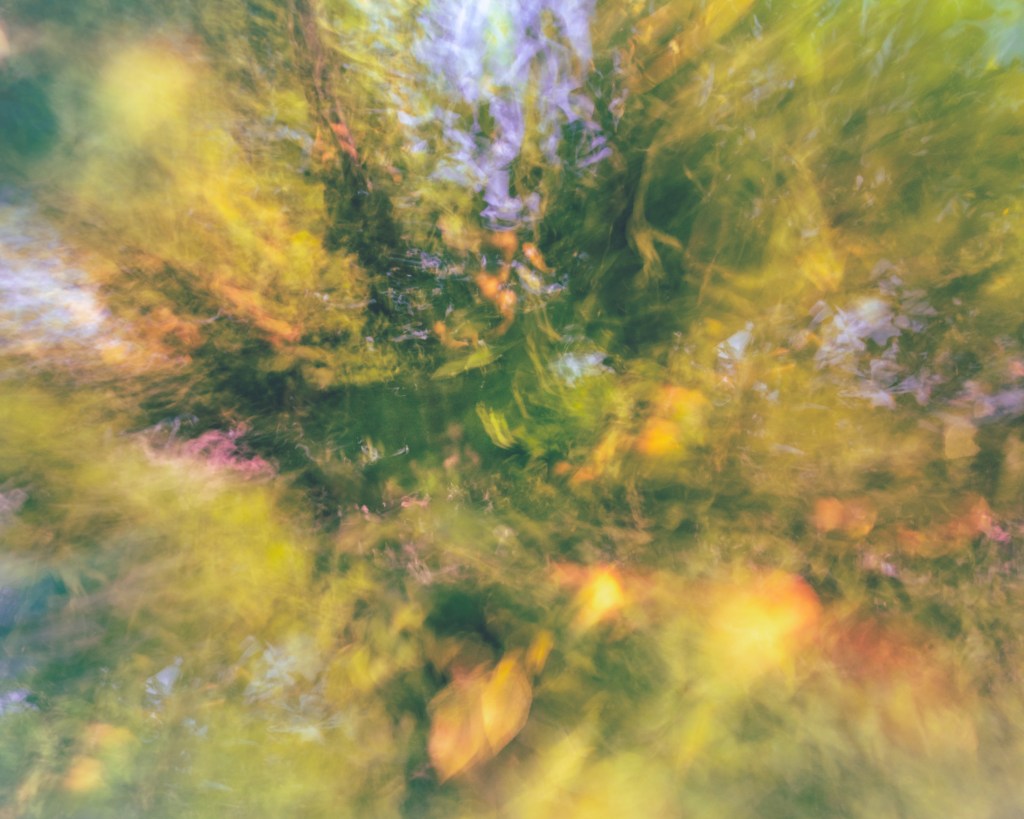 The Magic Lemon Tree, abstract fine art photography with intentional camera movement (ICM); luminous green foliage and golden tones evoking a dreamlike tree of life.
