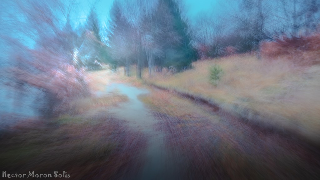 ICM fine art photography of a winding path leading into a luminous forest, symbolic journey of light and hope – Allegorical Abstractionism by Héctor Morón