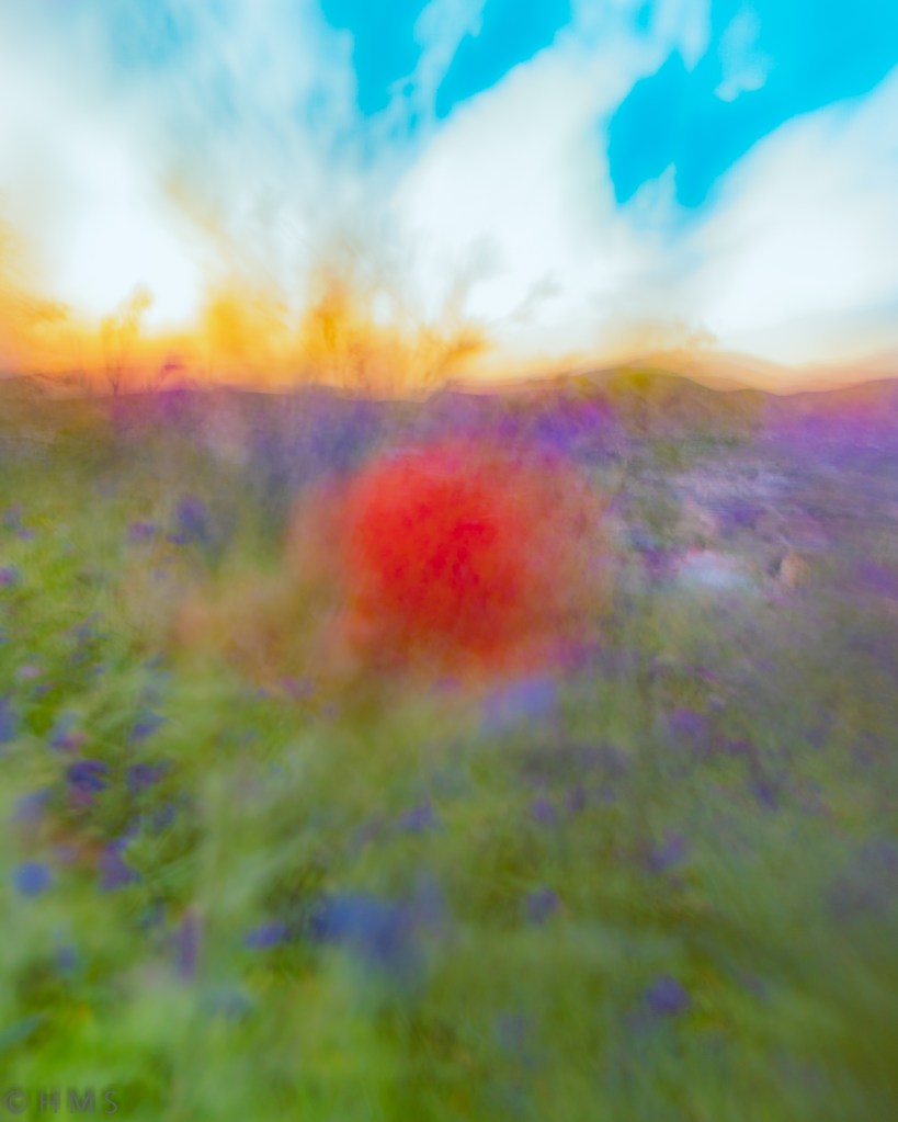 Abstract fine art photograph of a red poppy dissolving into light and motion, created through intentional camera movement, by Héctor Morón