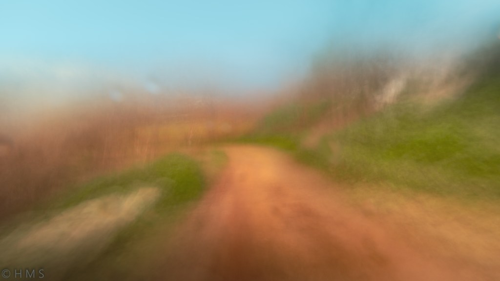 Rain Path, abstract fine art photography with intentional camera movement (ICM); a trail blurred by falling rain, textures of water and earth merging in motion