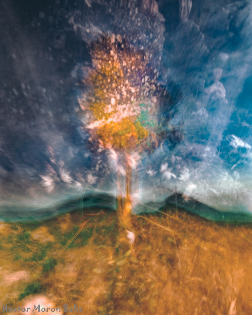 Stony Tree abstract ICM photograph — a tree rooted in stone with a surreal rocky sky. Allegorical Abstractionism by Héctor Morón. abstract ICM photograph by Héctor Morón, a continuation of the Eden Tree vision of endurance and renewal