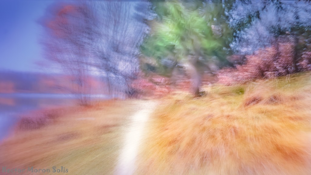 The Dividing Light – symbolic ICM path photograph by Héctor Morón Solís