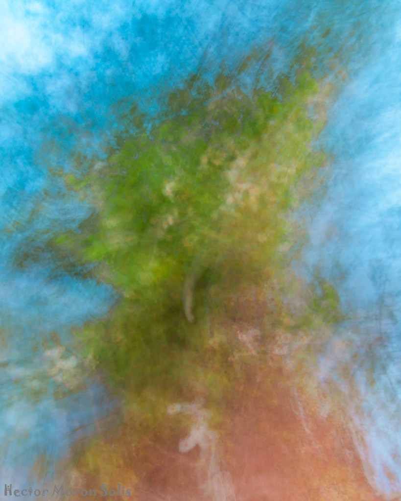 Abstract tripartite photograph with three layers: dark subterranean base, green vegetation, and sky with tree branches, created with intentional camera movement by Héctor Morón