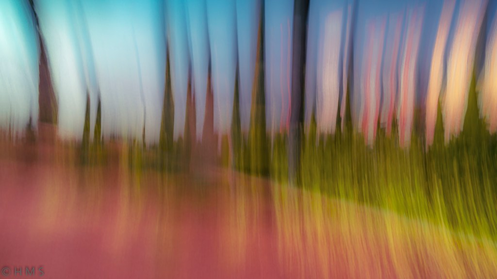 Abstract ICM photograph of a forest with tilted vertical lines, vibrant pink, green and blue tones, fine art impressionism by Héctor Morón