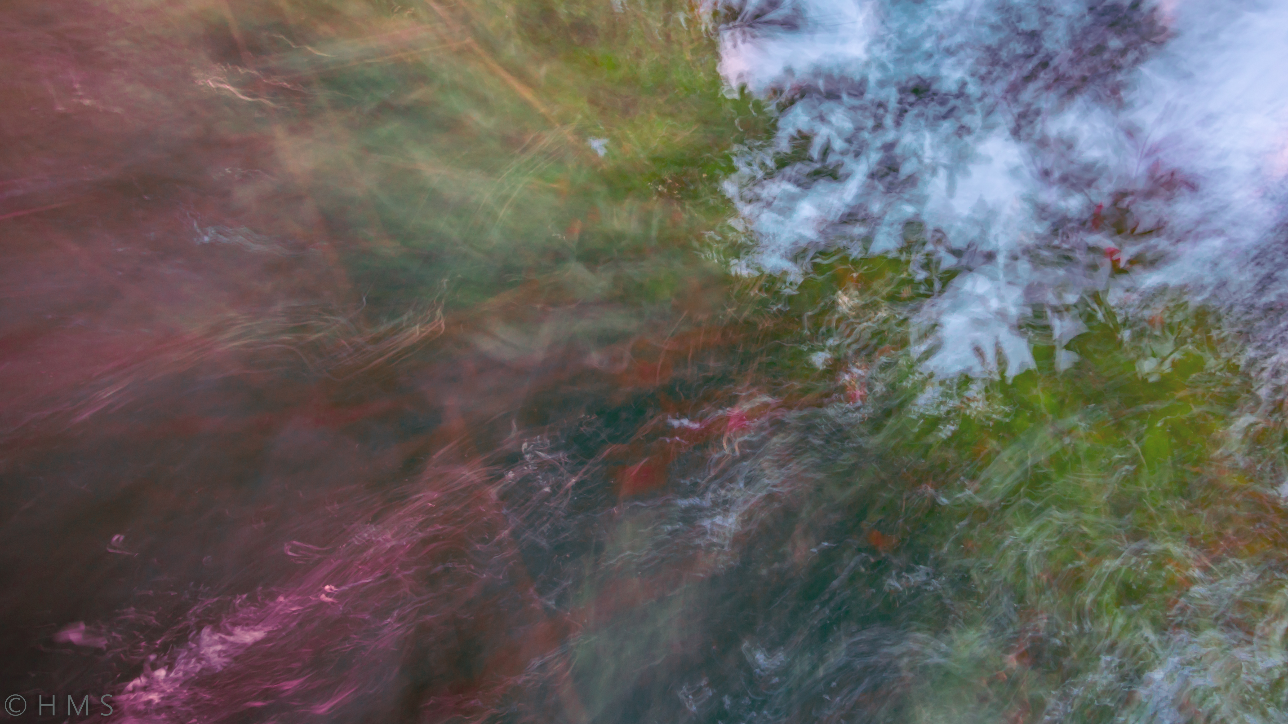 4 Stages of Natural Life abstract ICM fine art photograph nature life cycle by Héctor Morón”