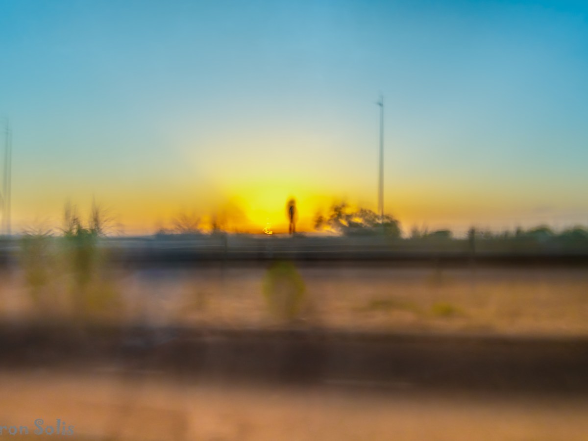 Urban Solitude Under a Technified&nbsp;Sun