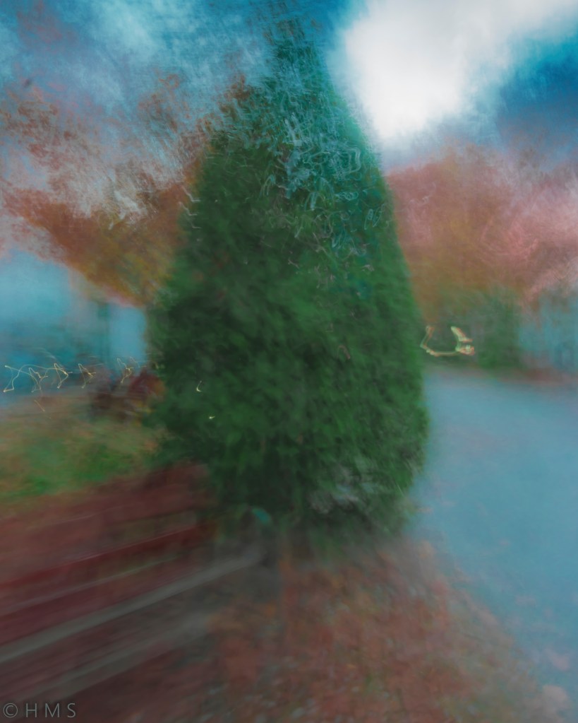 Laurel with Carpet Skin abstract ICM fine art photograph tree foliage with textured carpet-like surface by Héctor Morón