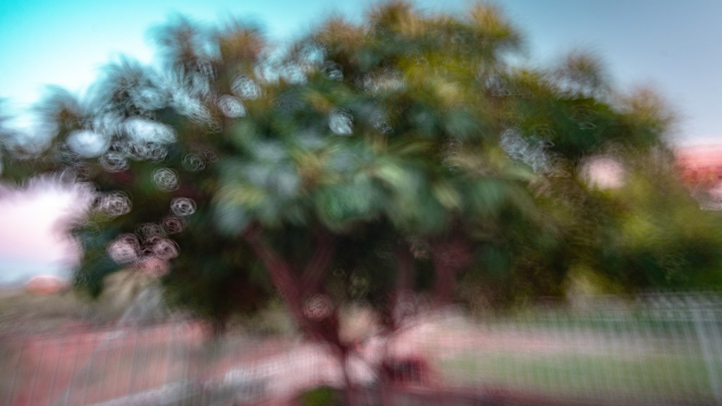 Medlar abstract ICM fine art photograph tree with green foliage and earthy tones by Héctor Morón