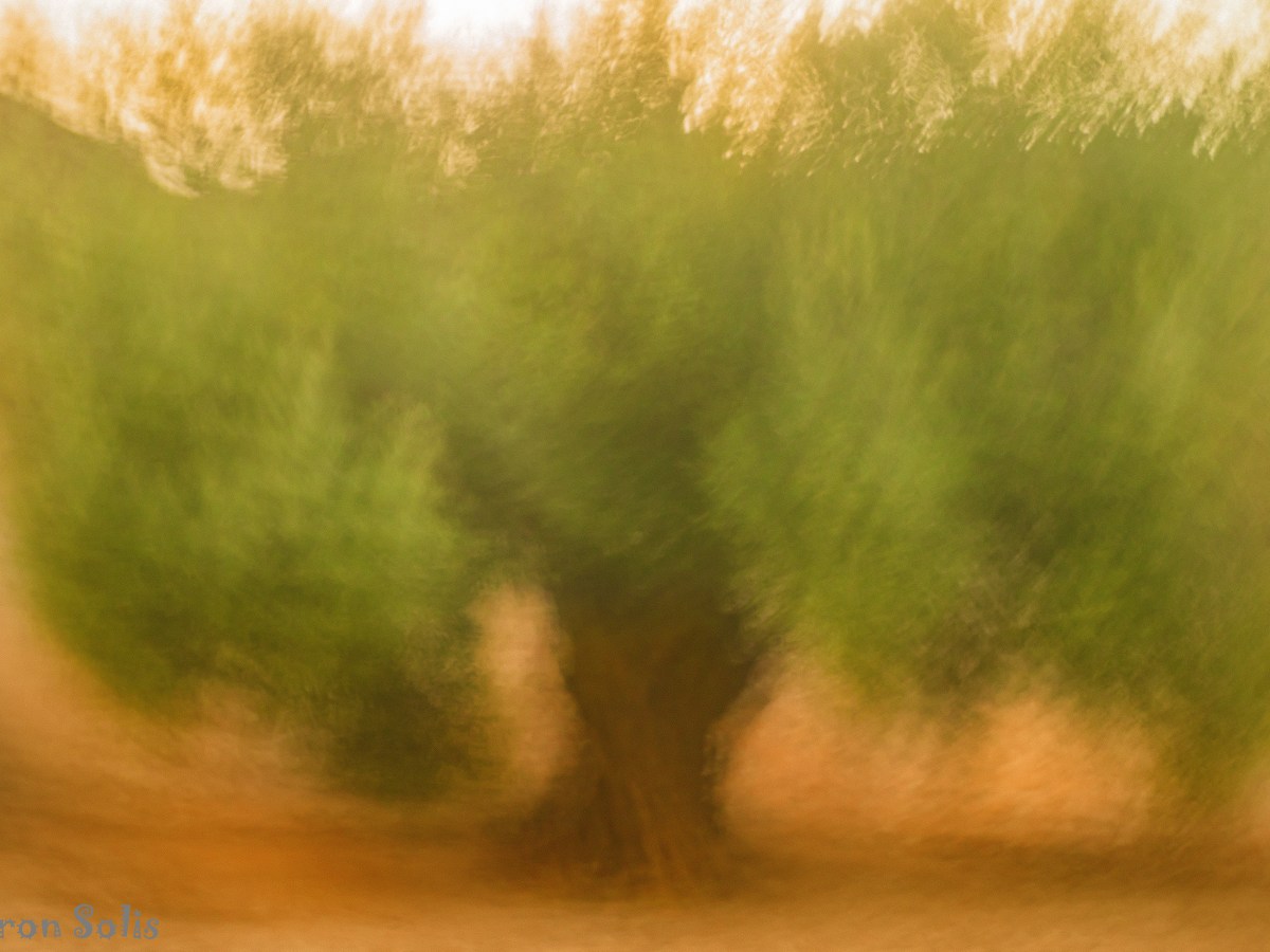 Héctor Abstract Photography Ranking – Best Abstract Photographs&nbsp;2025