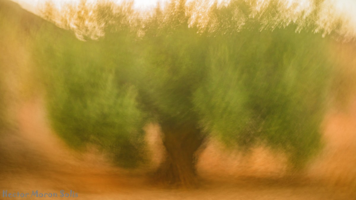 Héctor Abstract Photography Ranking – Best Abstract Photographs&nbsp;2025