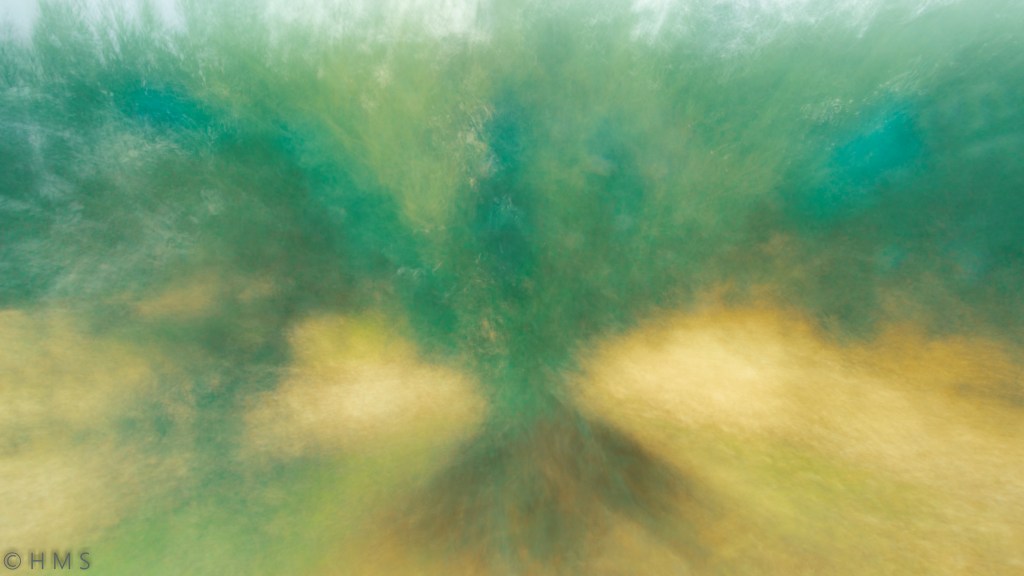 Olive Tree abstract ICM fine art photograph ethereal green foliage and golden tones by Héctor Morón