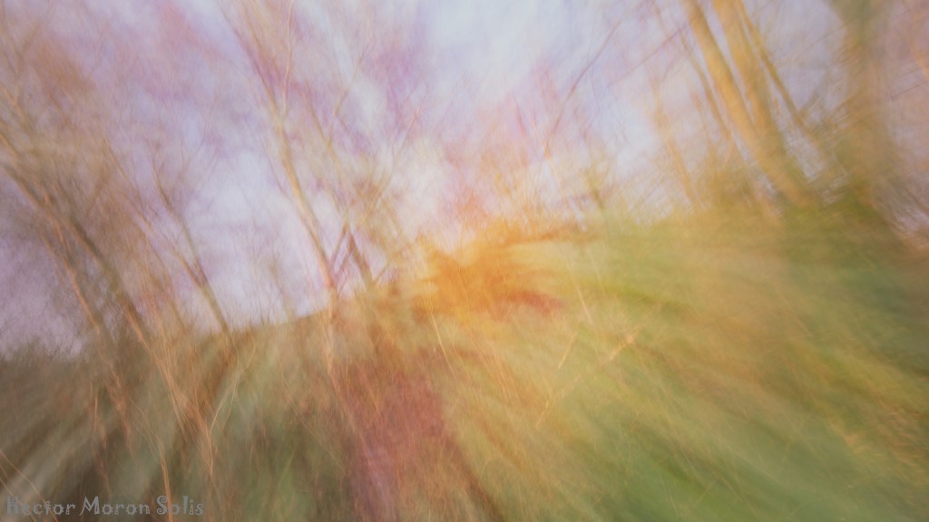 Abstract ICM fine art photograph of a spring forest in soft motion and warm light — an expressive work from the Allegorical Abstractionism movement.